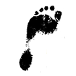 The Barefoot Running Revolution