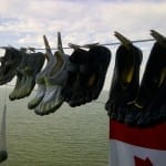 Air Drying FiveFingers off the North Coast of Pelee Island