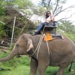Wearing FiveFingers, Riding an Elephant