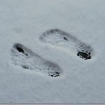 FiveFinger Footprints in the Snow