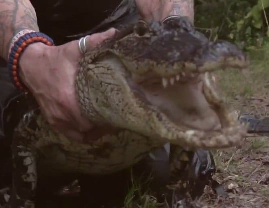 Alligators, Cobras, Rattle Snakes, oh… and FiveFingers