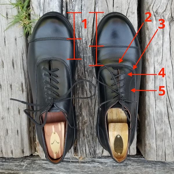 Carets (aka the Primal Professional) Barefoot Dress Shoes