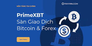 Exploring the PrimeXBT App A Comprehensive Guide to Mobile Trading